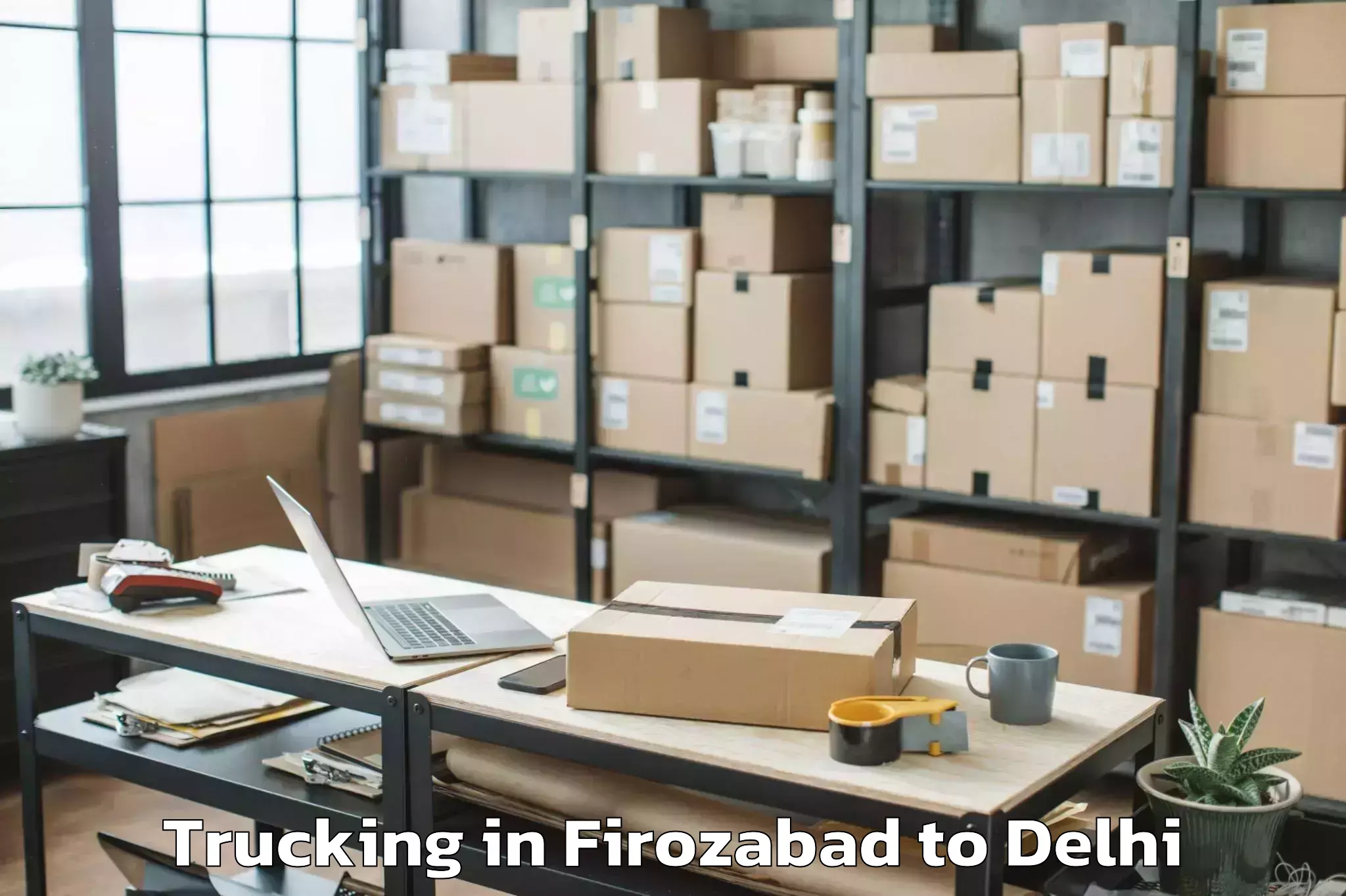 Top Firozabad to Delhi Cantonment Trucking Available